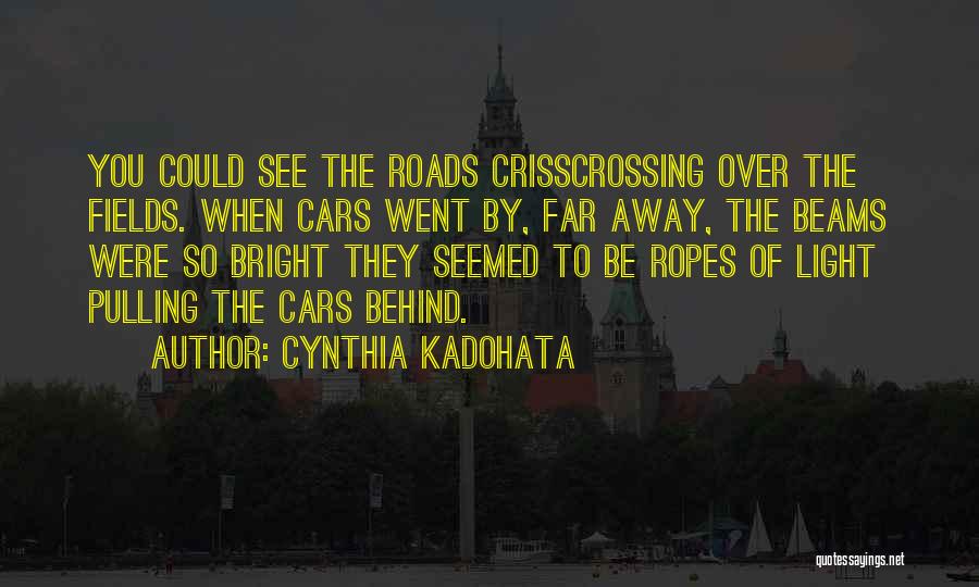 Light Beams Quotes By Cynthia Kadohata