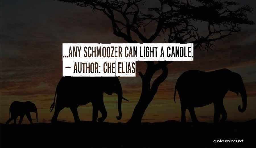 Light Candle Quotes By Che Elias