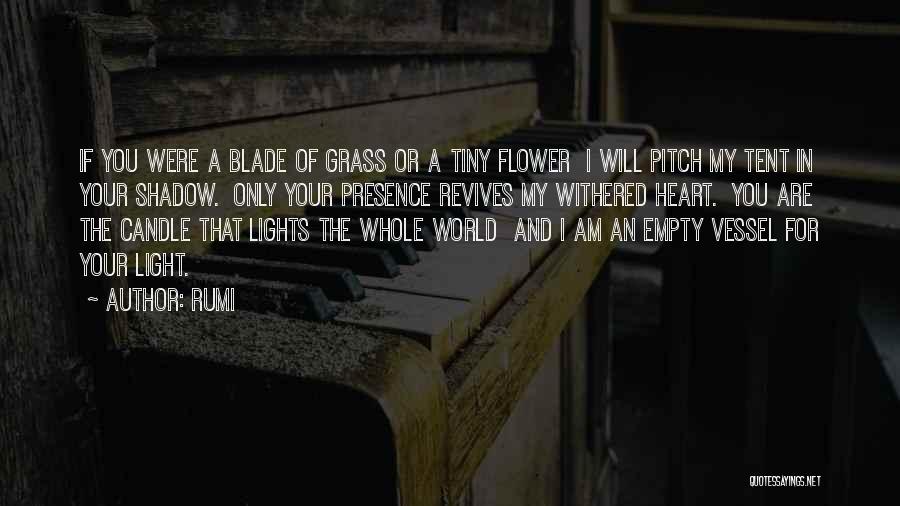 Light Candle Quotes By Rumi