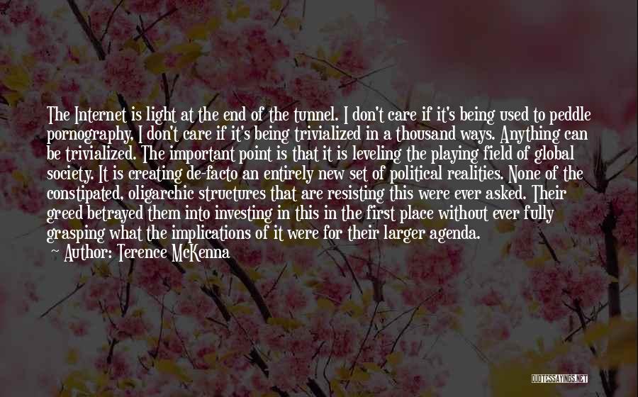 Light End Tunnel Quotes By Terence McKenna