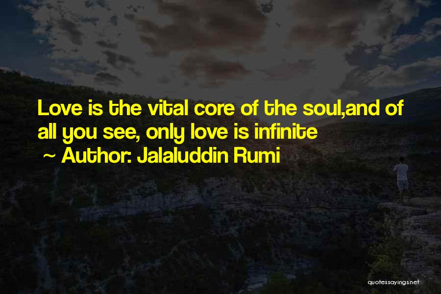 Light Filled Frames Quotes By Jalaluddin Rumi