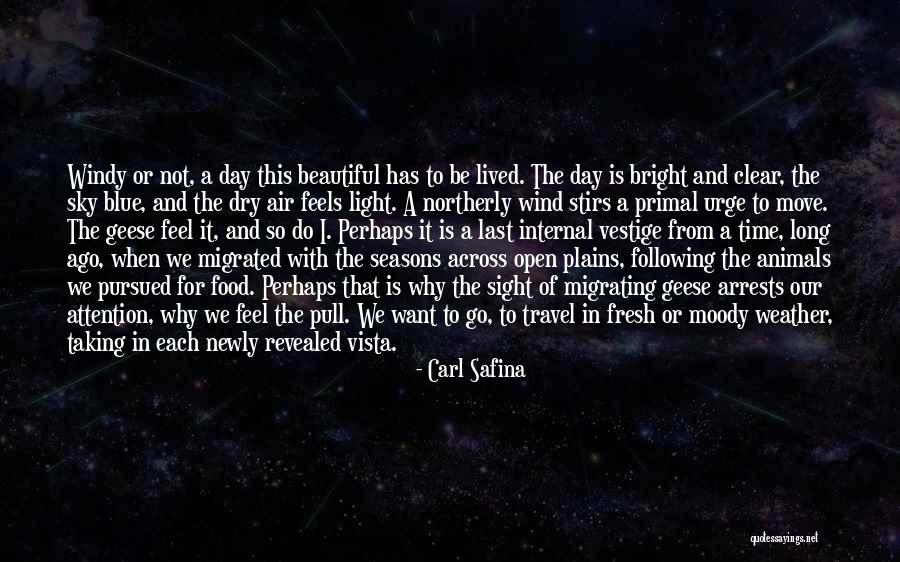 Light Food Quotes By Carl Safina Light Food Quotes By Carl Safina