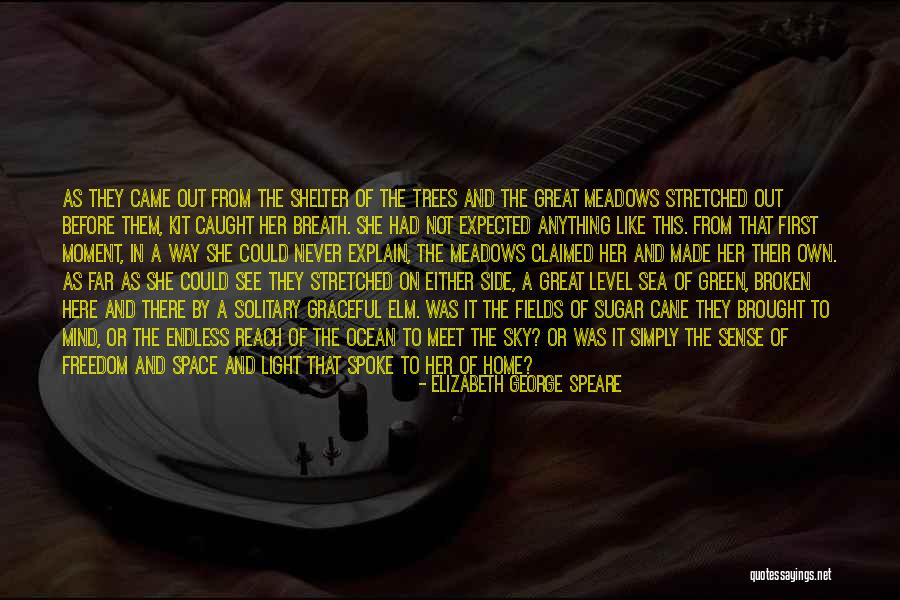 Light From The Sky Quotes By Elizabeth George Speare Light From The Sky Quotes By Elizabeth George Speare