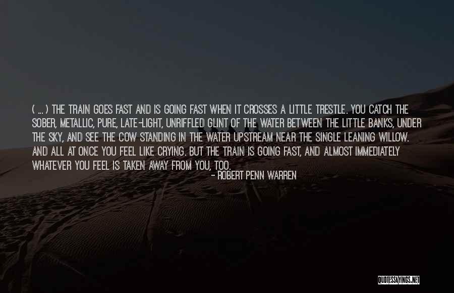 Light From The Sky Quotes By Robert Penn Warren Light From The Sky Quotes By Robert Penn Warren
