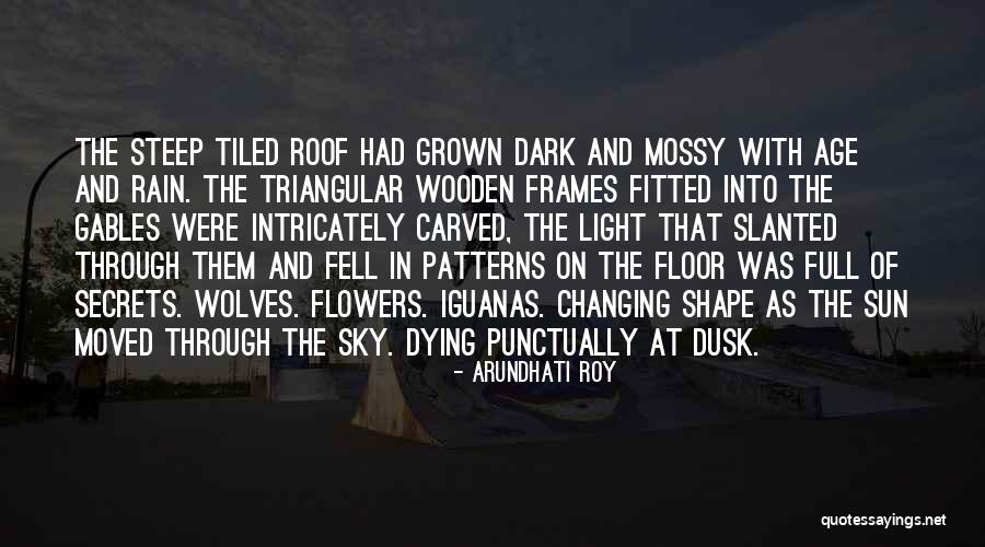 Light In Dark Quotes By Arundhati Roy Light In Dark Quotes By Arundhati Roy