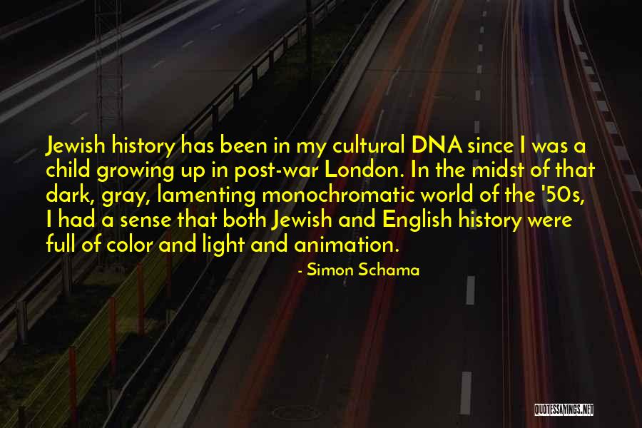 Light In Dark Quotes By Simon Schama Light In Dark Quotes By Simon Schama