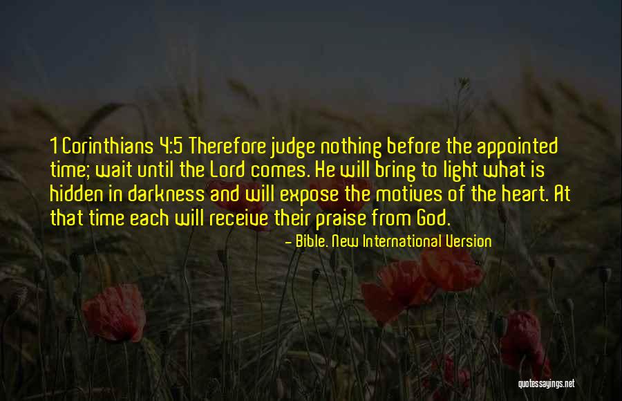 Light In Darkness Quotes By Bible. New International Version