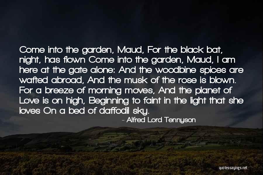 Light In Night Sky Quotes By Alfred Lord Tennyson Light In Night Sky Quotes By Alfred Lord Tennyson