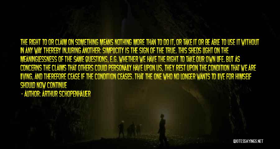 Light In Our Life Quotes By Arthur Schopenhauer