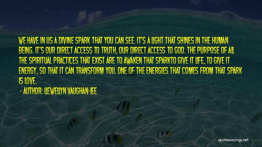 Light In Our Life Quotes By Llewellyn Vaughan-Lee