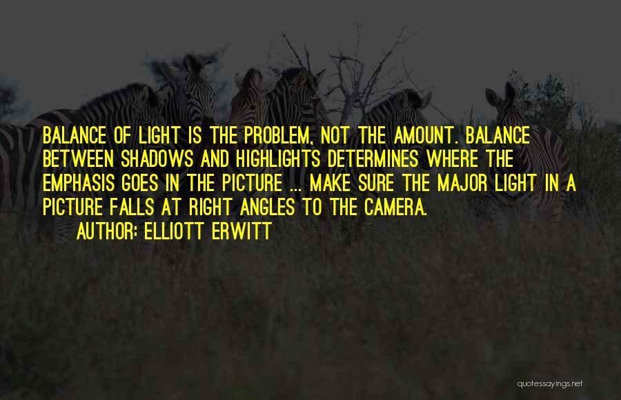Light In Photography Quotes By Elliott Erwitt
