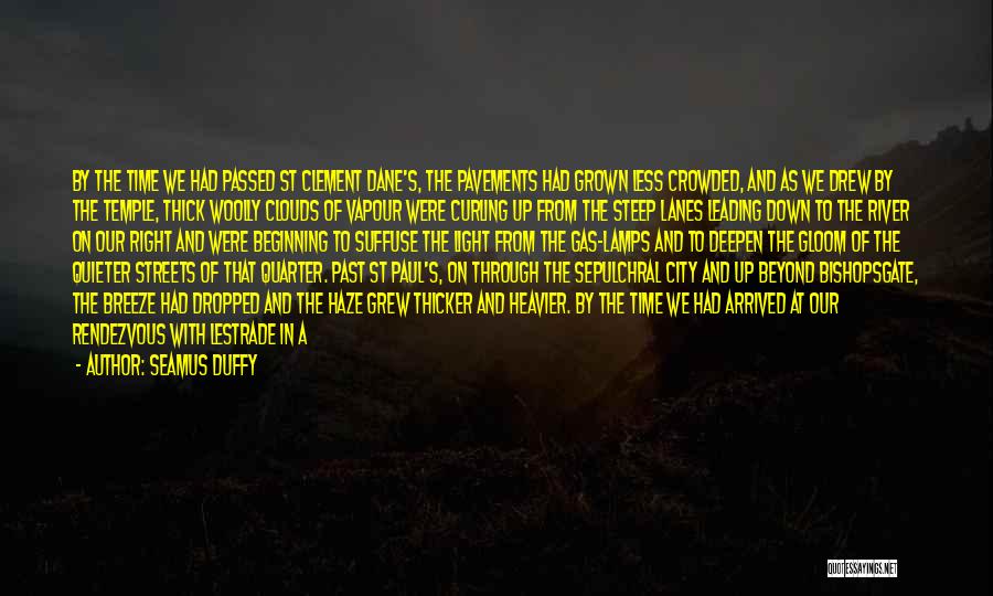 Light In The Fog Quotes By Seamus Duffy