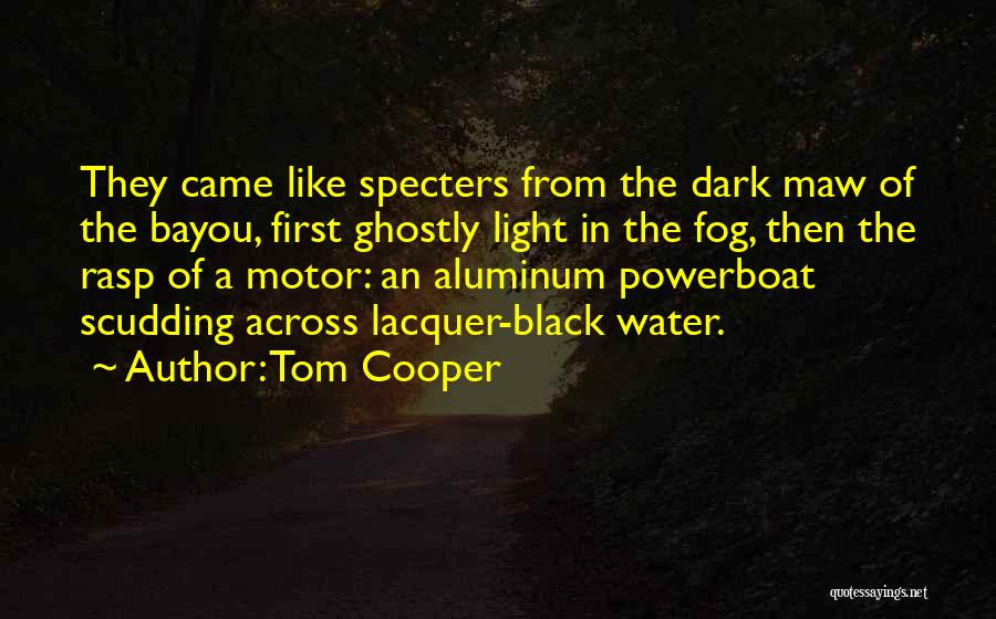 Light In The Fog Quotes By Tom Cooper