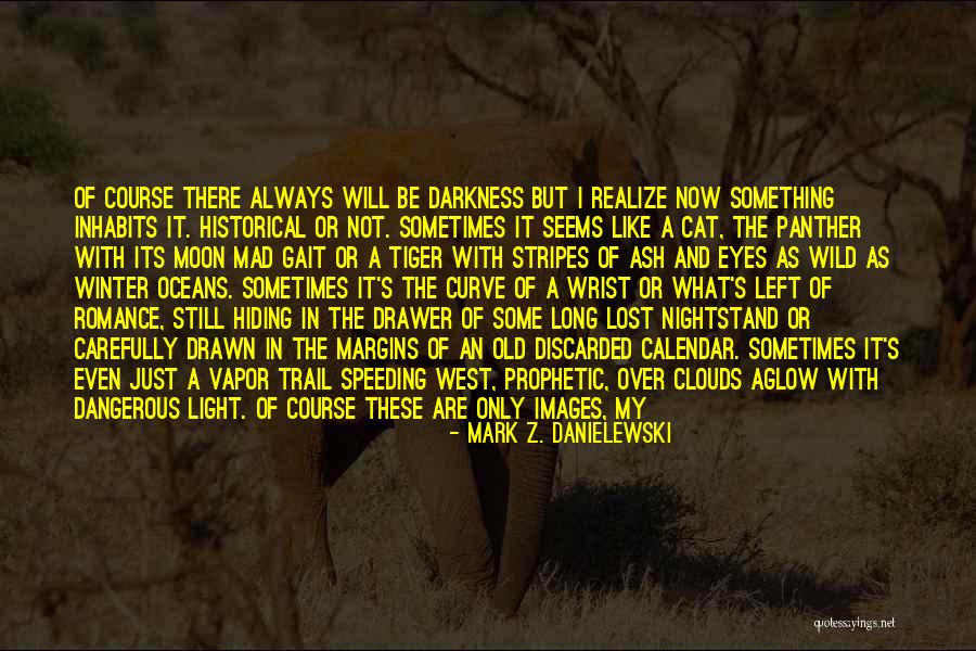 Light In The Night Quotes By Mark Z. Danielewski