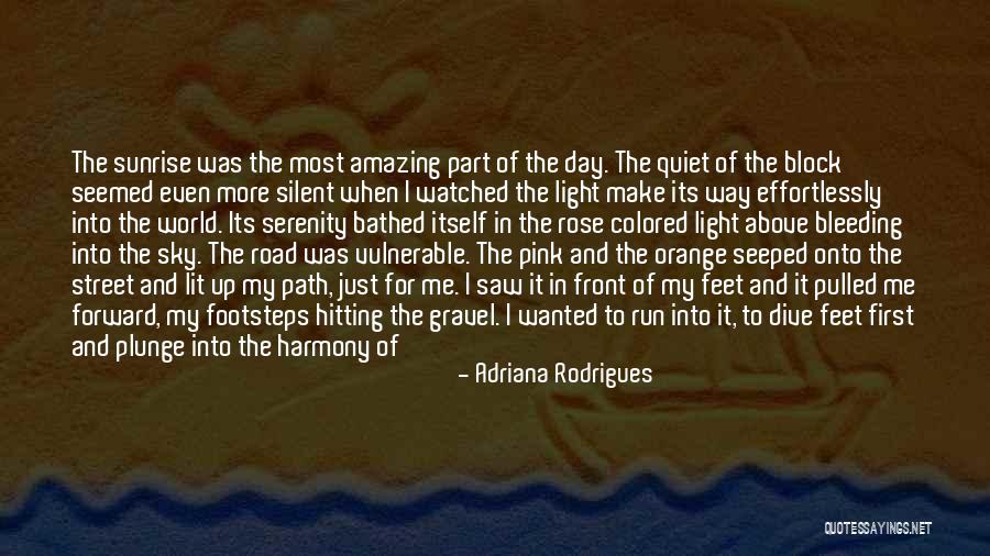 Light In The Road Quotes By Adriana Rodrigues