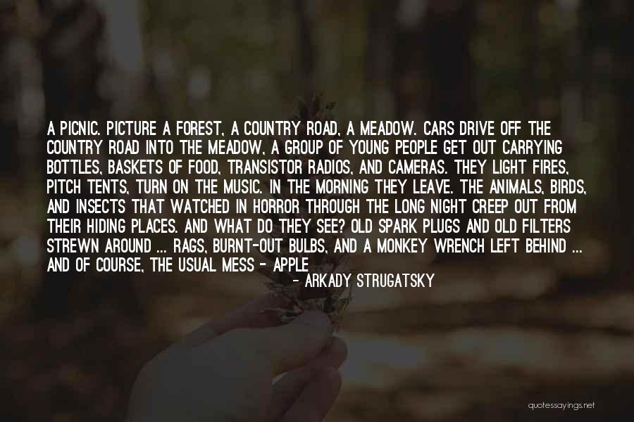 Light In The Road Quotes By Arkady Strugatsky