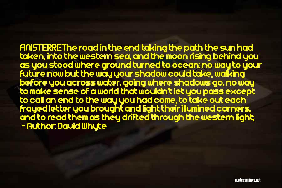 Light In The Road Quotes By David Whyte