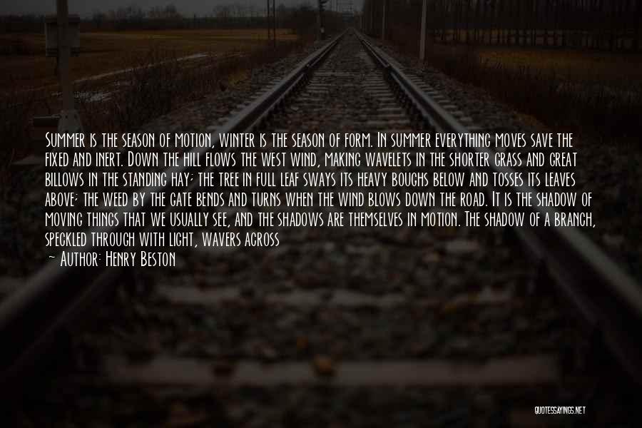 Light In The Road Quotes By Henry Beston