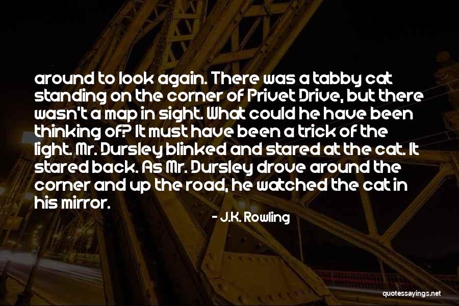 Light In The Road Quotes By J.K. Rowling