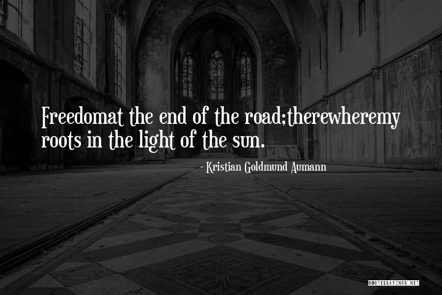 Light In The Road Quotes By Kristian Goldmund Aumann