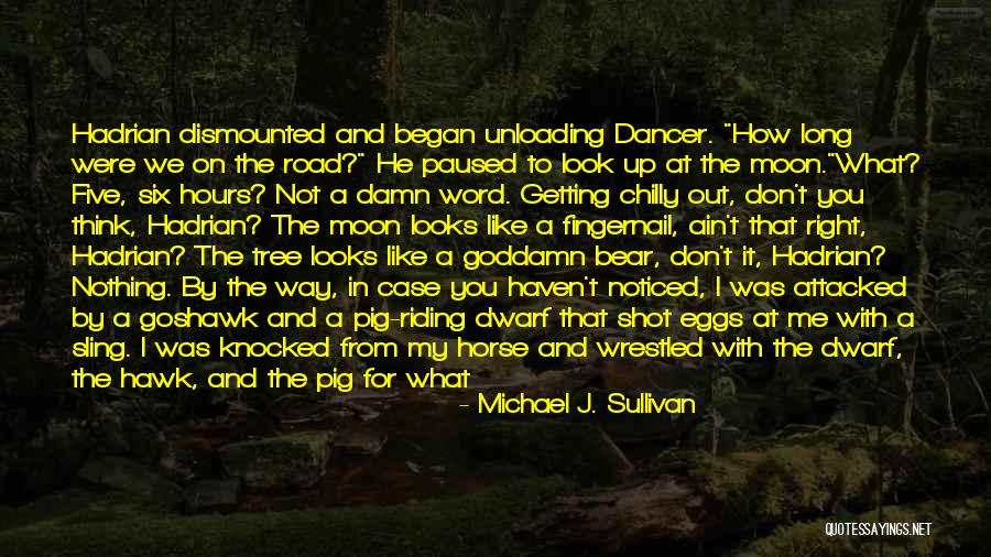 Light In The Road Quotes By Michael J. Sullivan