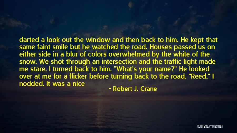 Light In The Road Quotes By Robert J. Crane