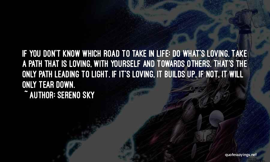 Light In The Road Quotes By Sereno Sky