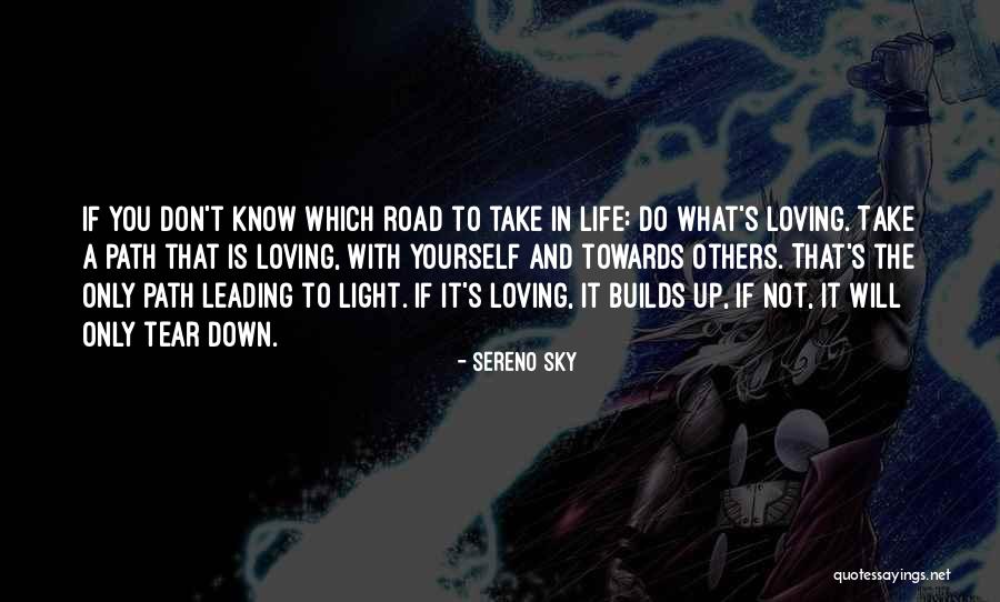 Light In The Road Quotes By Sereno Sky