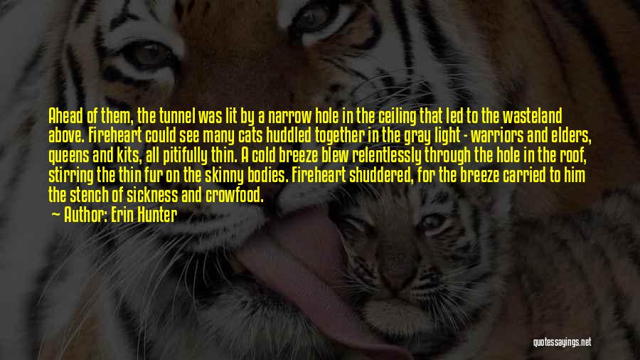 Light In The Tunnel Quotes By Erin Hunter