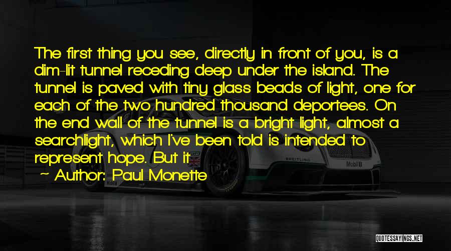 Light In The Tunnel Quotes By Paul Monette