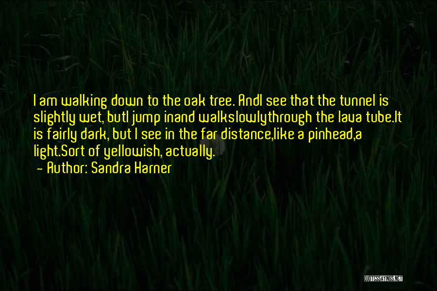 Light In The Tunnel Quotes By Sandra Harner