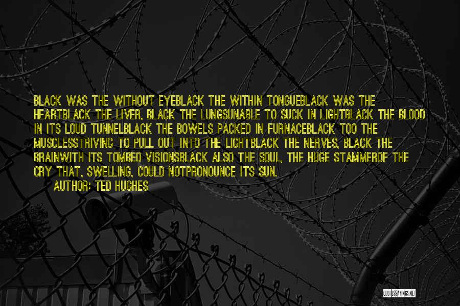 Light In The Tunnel Quotes By Ted Hughes