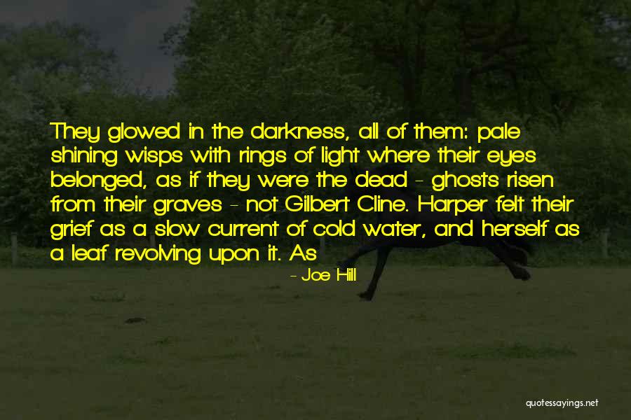 Light In Their Eyes Quotes By Joe Hill