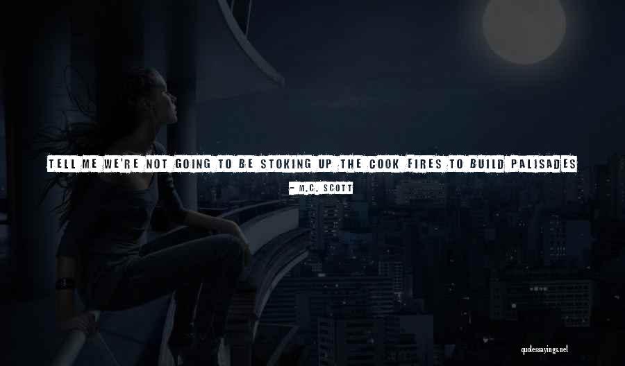 Light In Their Eyes Quotes By M.C. Scott