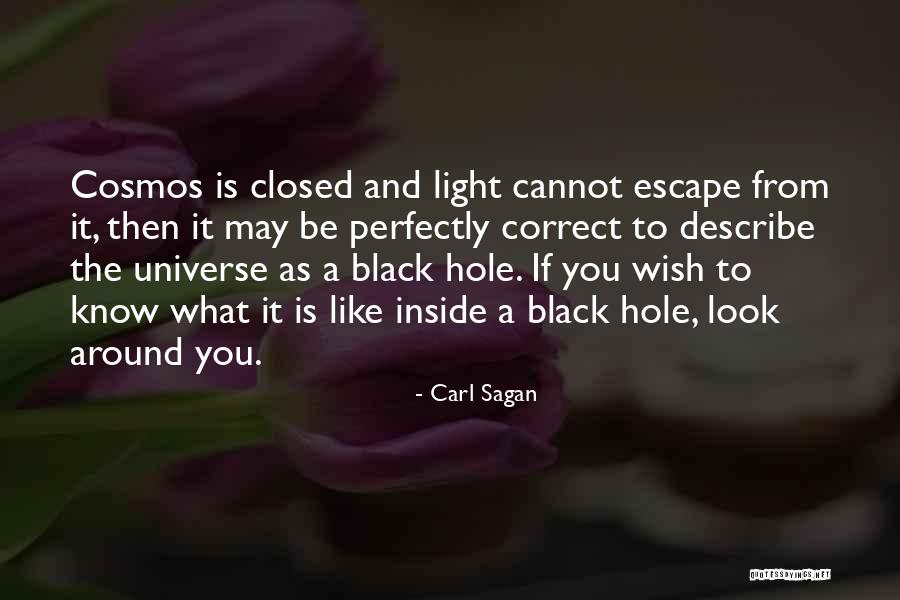 Light Inside You Quotes By Carl Sagan Light Inside You Quotes By Carl Sagan