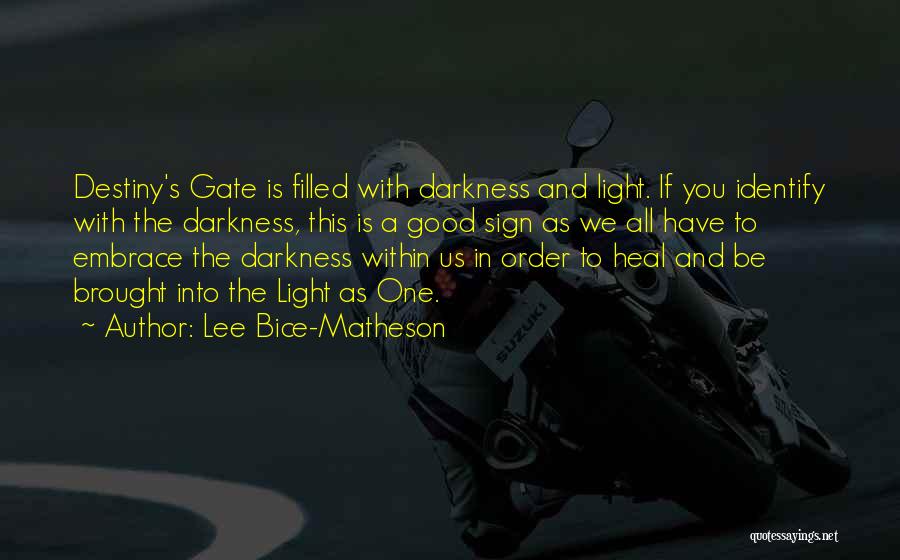 Light Into Darkness Quotes By Lee Bice-Matheson