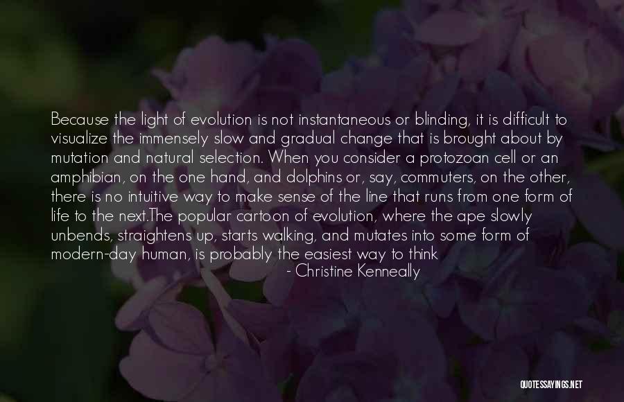 Light Is A Form Quotes By Christine Kenneally Light Is A Form Quotes By Christine Kenneally