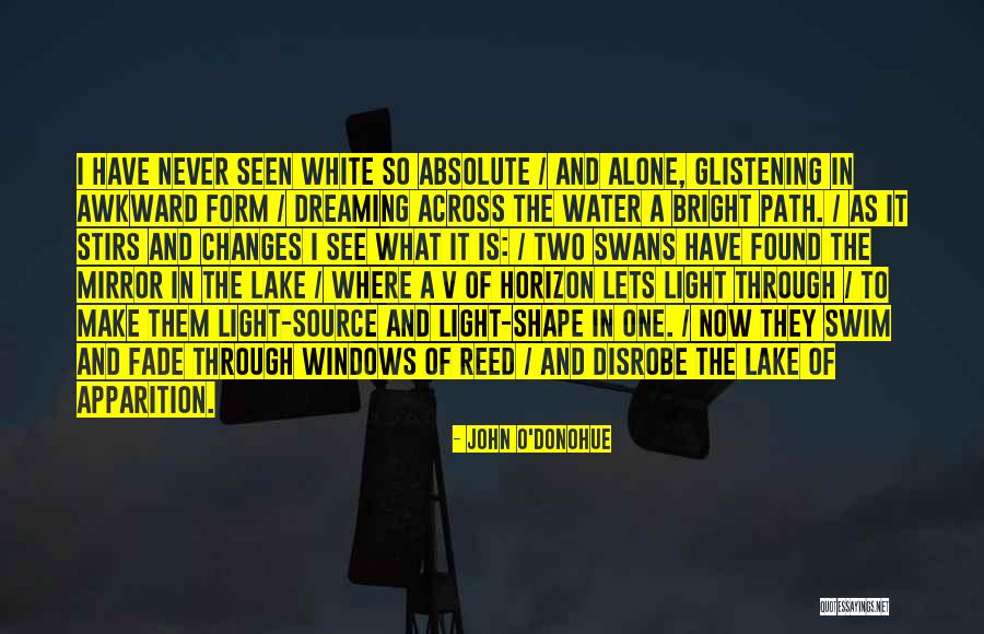 Light Is A Form Quotes By John O'Donohue Light Is A Form Quotes By John O'Donohue