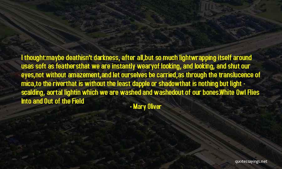 Light Is All Around Us Quotes By Mary Oliver Light Is All Around Us Quotes By Mary Oliver