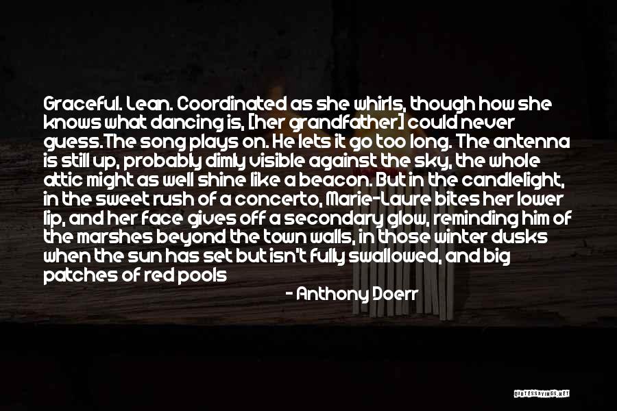 Light It Up Song Quotes By Anthony Doerr Light It Up Song Quotes By Anthony Doerr
