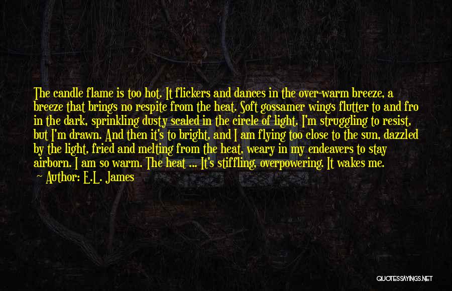 Light Of Candle Quotes By E.L. James