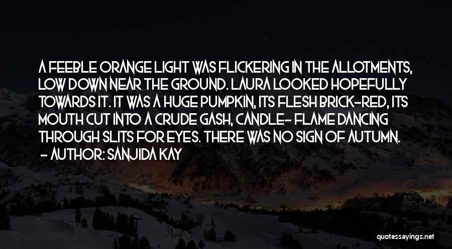Light Of Candle Quotes By Sanjida Kay