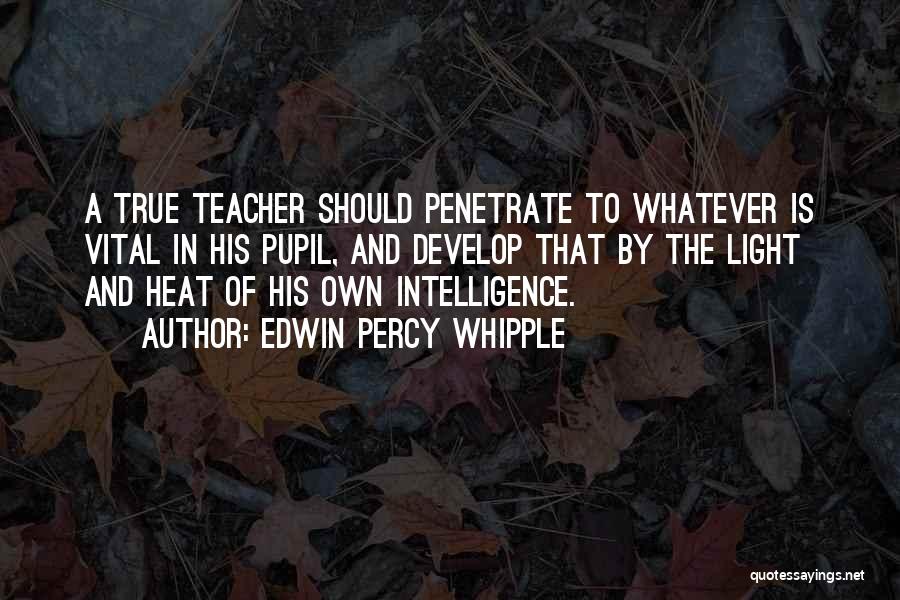 Light Of Education Quotes By Edwin Percy Whipple