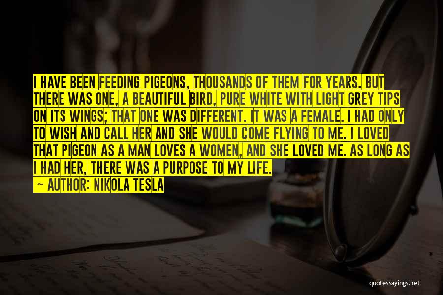 Light Of My Life Quotes By Nikola Tesla