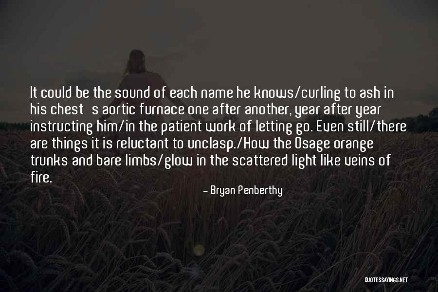 Light Of Nature Quotes By Bryan Penberthy Light Of Nature Quotes By Bryan Penberthy