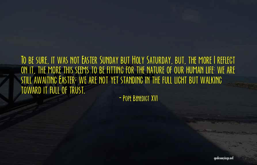 Light Of Nature Quotes By Pope Benedict XVI Light Of Nature Quotes By Pope Benedict XVI