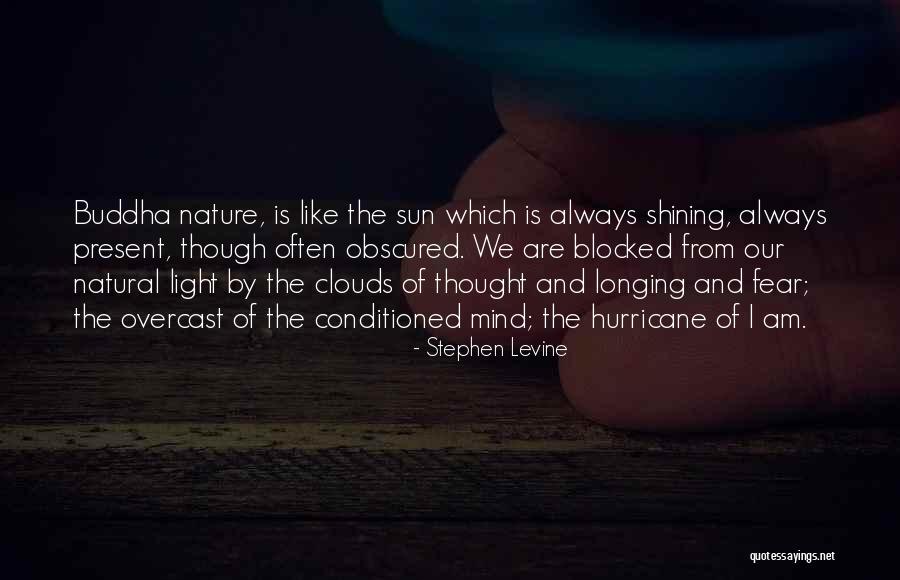 Light Of Nature Quotes By Stephen Levine Light Of Nature Quotes By Stephen Levine
