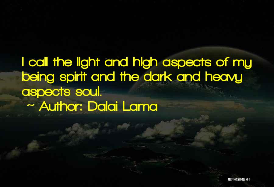Light Of Soul Quotes By Dalai Lama