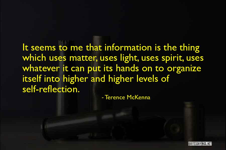 Light Of The Spirit Quotes By Terence McKenna Light Of The Spirit Quotes By Terence McKenna
