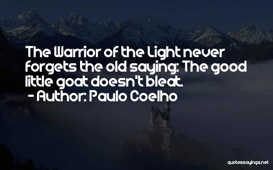 Light Of The Warrior Quotes By Paulo Coelho